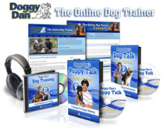 online dog training